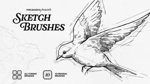 All-App Sketch Brushes — Photoshop brush