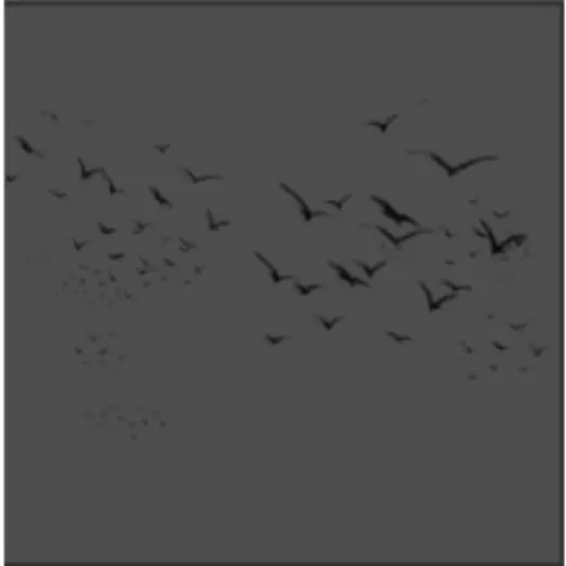 SillyBurds — Clip Studio Paint brush