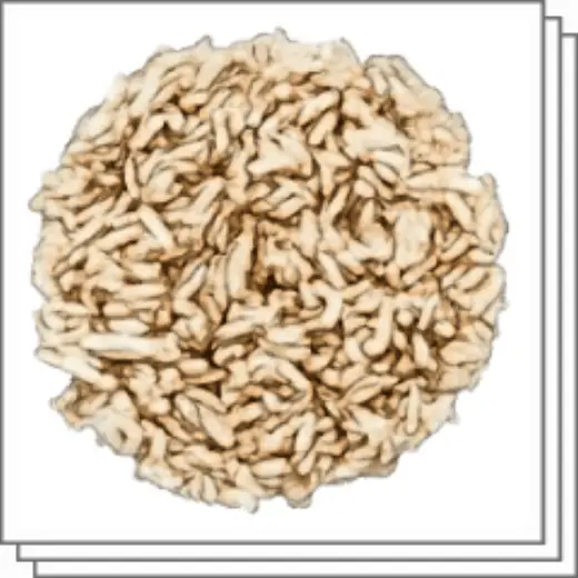 Rengginang (rice cracker) — Clip Studio Paint brush