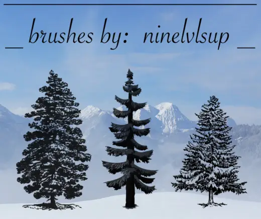 3 Pine Tree PS Brushes — Procreate, Photoshop & Krita brush