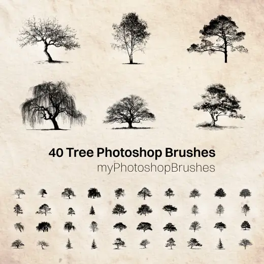 40 Tree Photoshop Brushes — Procreate, Photoshop & Krita brush