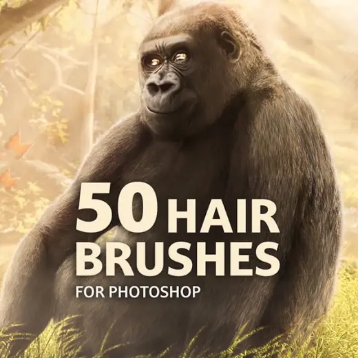 Sorcerer's Strands: A Collection of 50 Hair Brushes — Photoshop brush