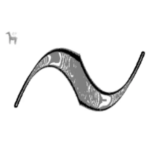 Profane zebra pen — Clip Studio Paint brush