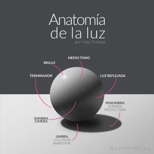 Anatomía de la luz PSD + VIDEOS — Photoshop brush