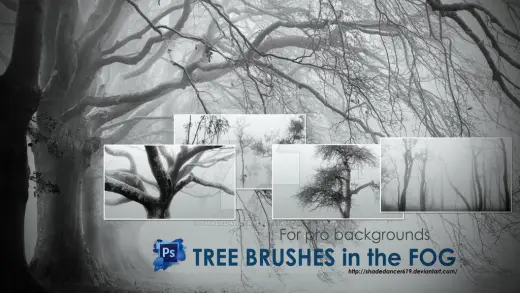 Trees in the Fog — Procreate, Photoshop & Krita brush