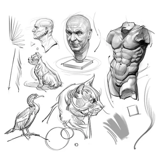 Brush Pack for Sketching and Painting! — Photoshop brush