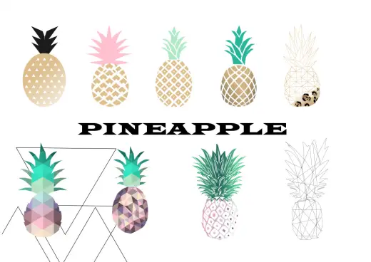 Tropical Pineapple Graphics — Procreate, Photoshop & Krita brush