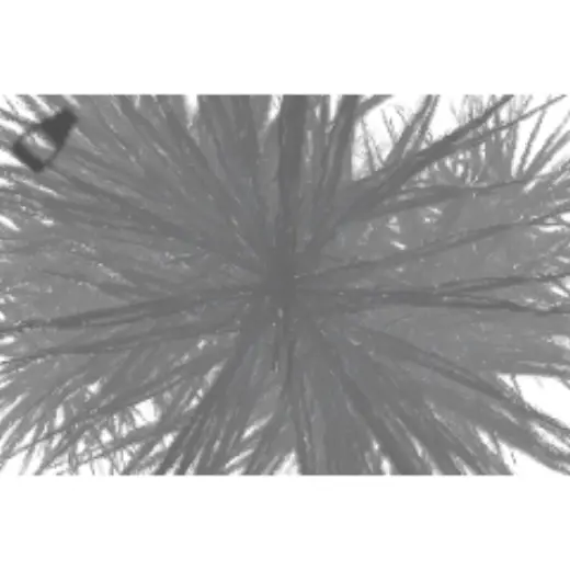 fur brush but thorny — Clip Studio Paint brush