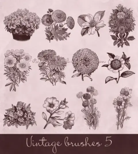 Vintage Flowers Brushes — Procreate, Photoshop & Krita brush