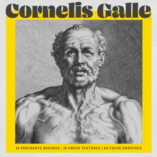 Cornelis Galle Procreate Kit (Procreate Brushes, Color Palettes & Paper Textures) — Procreate brush