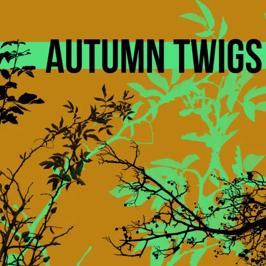 Autumn Twigs Brushes — Procreate, Photoshop & Krita brush
