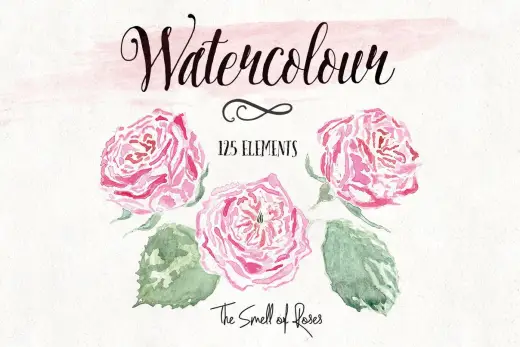 Watercolor Flower Brushes 3 - The Smell of Roses — Procreate, Photoshop & Krita brush