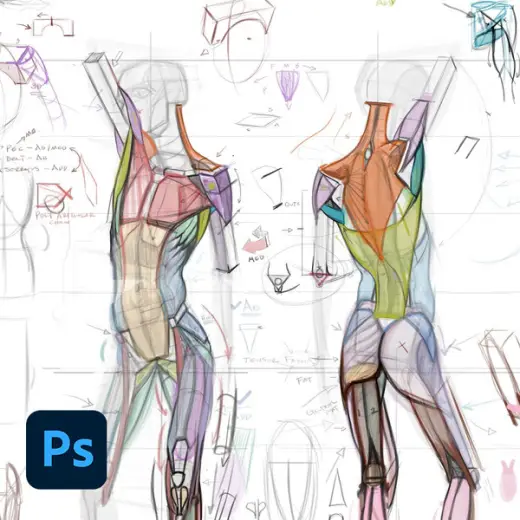 Figure Drawing Brushes — Photoshop brush