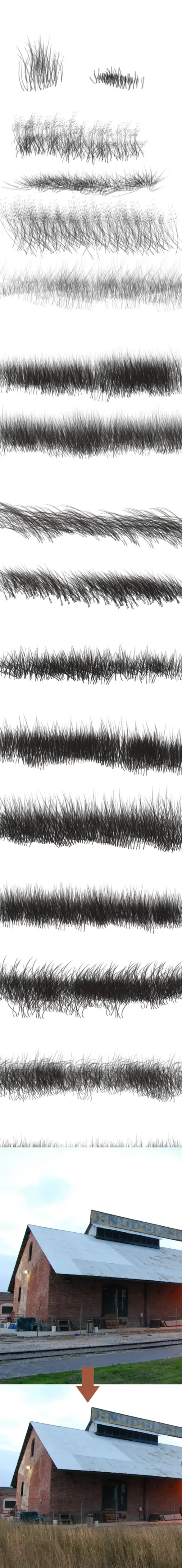 Grass Brushes for Extracting grass from images- Photoshop — Photoshop brush